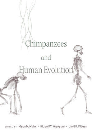 Chimpanzees and Human Evolution Hardcover by Martin N. Muller
