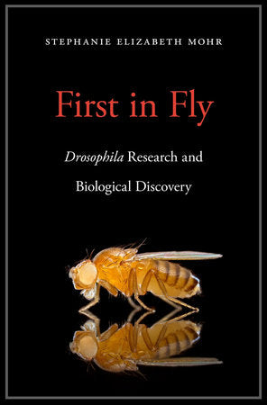 First in Fly Hardcover by Stephanie Elizabeth Mohr