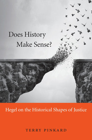 Does History Make Sense? Hardcover by Terry Pinkard
