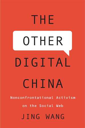 Other Digital China Hardcover by Jing Wang