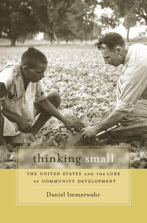 Thinking Small Paperback by Daniel Immerwahr