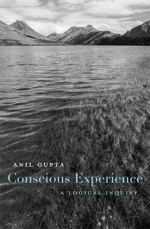 Conscious Experience Hardcover by Anil Gupta