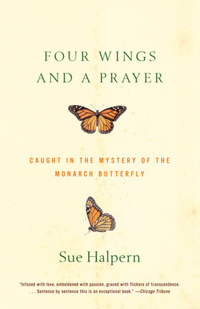 Four Wings and a Prayer Paperback by Sue Halpern