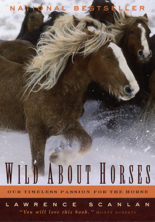 Wild About Horses Paperback by Lawrence Scanlan