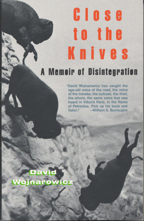 Close to the Knives Paperback by David Wojnarowicz