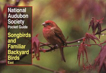 National Audubon Society Pocket Guide to Songbirds and Familiar Backyard Birds: Eastern Region Paperback by National Audubon Society