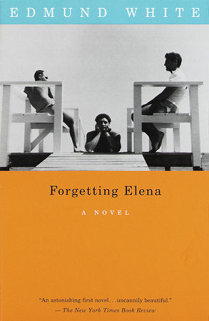Forgetting Elena Paperback by Edmund White