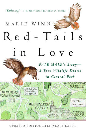 Red-Tails in Love Paperback by Marie Winn