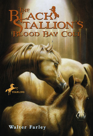 The Black Stallion's Blood Bay Colt Paperback by Walter Farley