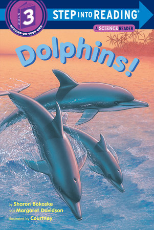 Dolphins! Paperback by Sharon Bokoske