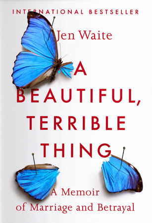 A Beautiful, Terrible Thing Paperback by Jen Waite