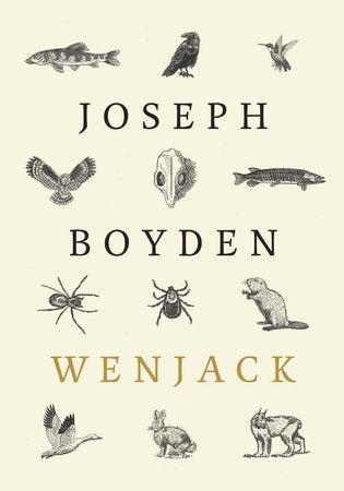 Wenjack Paperback by Joseph Boyden