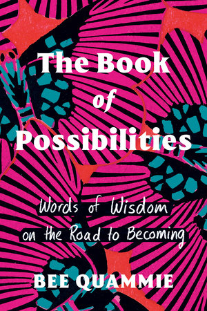The Book of Possibilities Hardcover by Bee Quammie