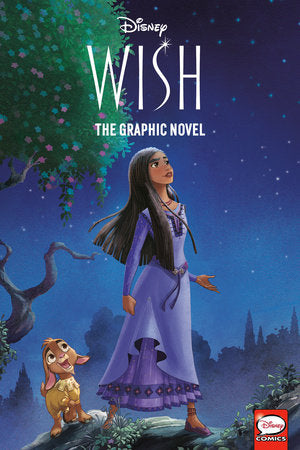Disney Wish: The Graphic Novel Paperback by RH Disney