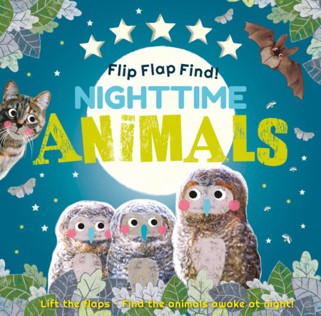 Flip Flap Find! Night-time Animals Board Book by DK