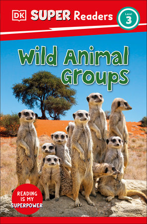 DK Super Readers Level 3 Wild Animal Groups TR by DK