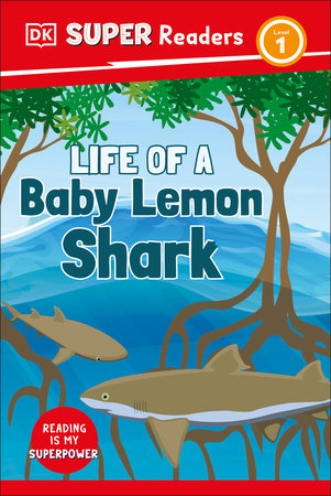 DK Super Readers Level 1 Life of a Baby Lemon Shark TR by DK