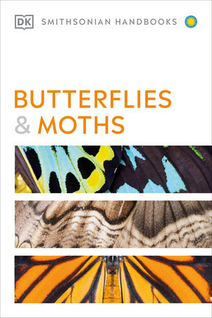 Butterflies and Moths Paperback by David Carter