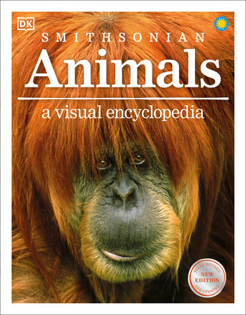 Animals A Visual Encyclopedia TR by DK