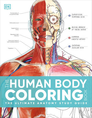 The Human Body Coloring Book Paperback by DK