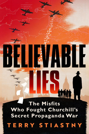 Believable Lies Hardcover by Terry Stiastny
