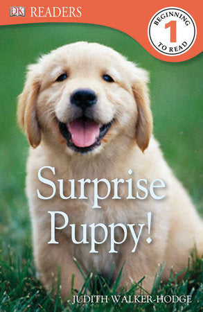 DK Readers L1: Surprise Puppy Paperback by Judith Hodge