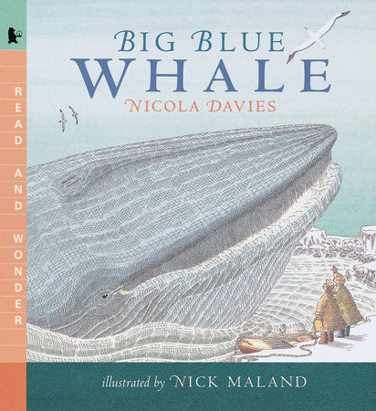 Big Blue Whale Paperback by Nicola Davies; Illustrated by Nick Maland