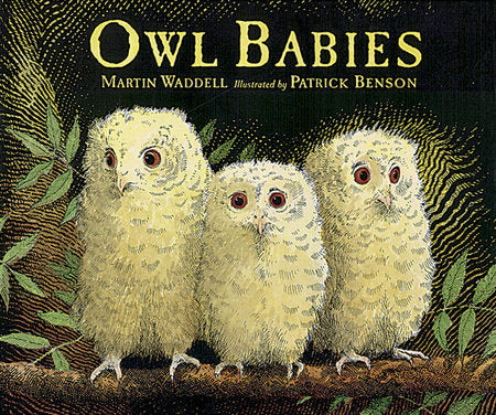 Owl Babies Big Book Paperback by Martin Waddell; Illustrated by Patrick Benson