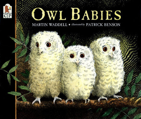 Owl Babies TR by Martin Waddell; Illustrated by Patrick Benson