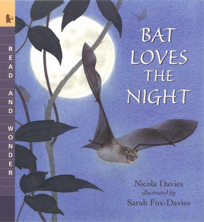 Bat Loves the Night Paperback by Nicola Davies; Illustrated by Sarah Fox-Davies