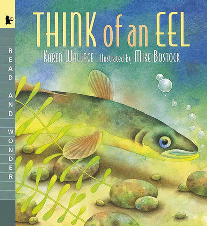 Think of an Eel: Big Book Paperback by Karen Wallace; Illustrated by Mike Bostock