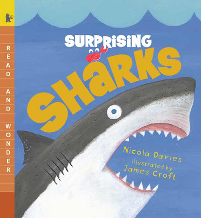 Surprising Sharks Paperback by Nicola Davies; Illustrated by James Croft