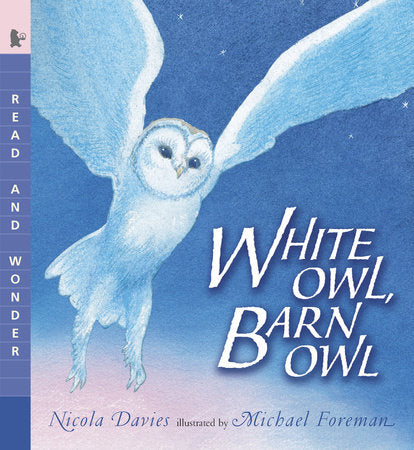 White Owl, Barn Owl Paperback by Nicola Davies; Illustrated by Michael Foreman