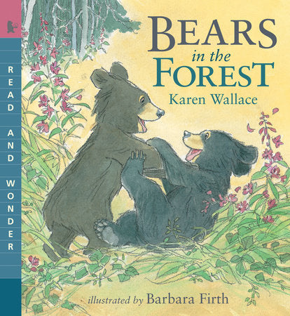 Bears in the Forest Paperback by Karen Wallace; Illustrated by Barbara Firth