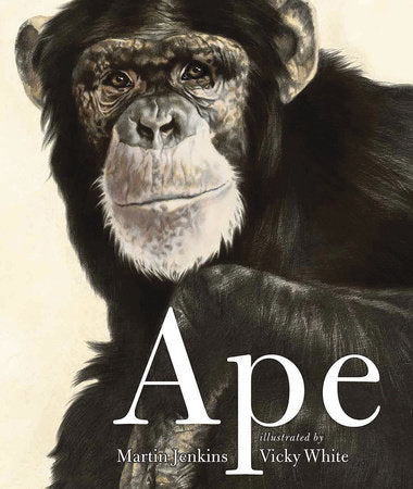 Ape Paperback by Martin Jenkins; Illustrated by Vicky White