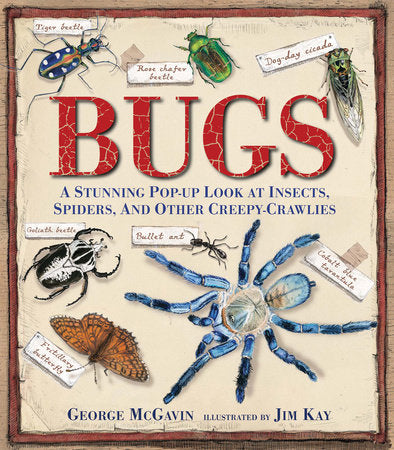 Bugs Hardcover by George McGavin; Illustrated by Jim Kay
