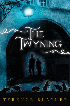 The Twyning Hardcover by Terence Blacker