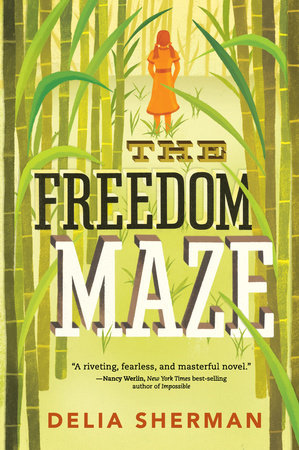 The Freedom Maze Paperback by Delia Sherman