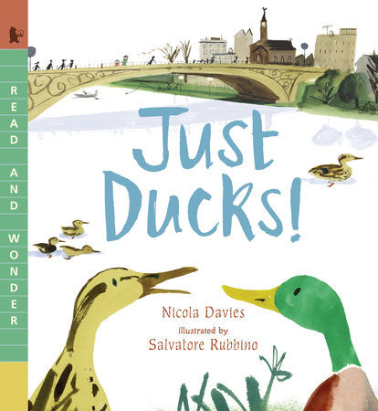 Just Ducks! Paperback by Nicola Davies; Illustrated by Salvatore Rubbino