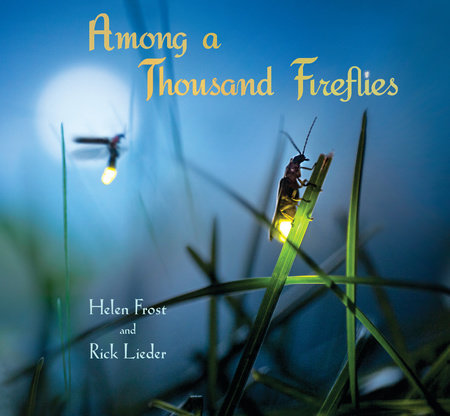 Among a Thousand Fireflies Hardcover by Helen Frost; Illustrated by Rick Lieder