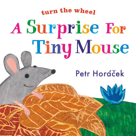 A Surprise for Tiny Mouse Board Book by Petr Horacek; Illustrated by Petr Horacek