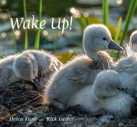 Wake Up! Hardcover by Helen Frost; Illustrated by Rick Lieder