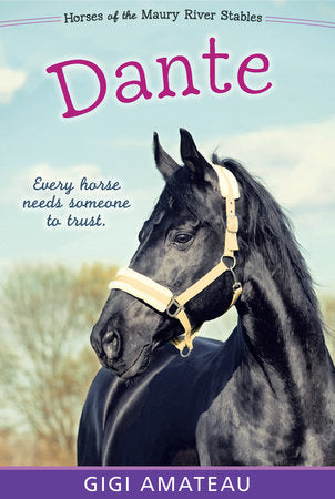 Dante: Horses of the Maury River Stables TR by Gigi Amateau