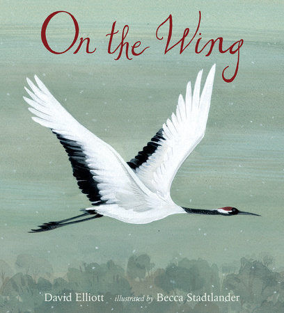On the Wing TR by David Elliott; Illustrated by Becca Stadtlander