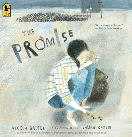 The Promise Paperback by Nicola Davies; Illustrated by Laura Carlin