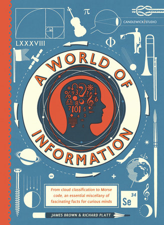A World of Information Hardcover by Richard Platt; Illustrated by James Brown