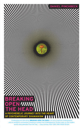 Breaking Open the Head Paperback by Daniel Pinchbeck