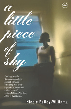 A Little Piece of Sky Paperback by Nicole Bailey-Williams