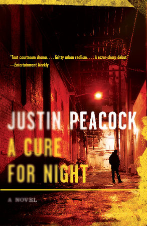 A Cure for Night Paperback by Justin Peacock