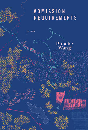 Admission Requirements Paperback by Phoebe Wang